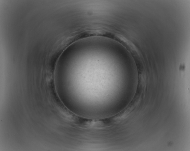 X0000092310517200709281349