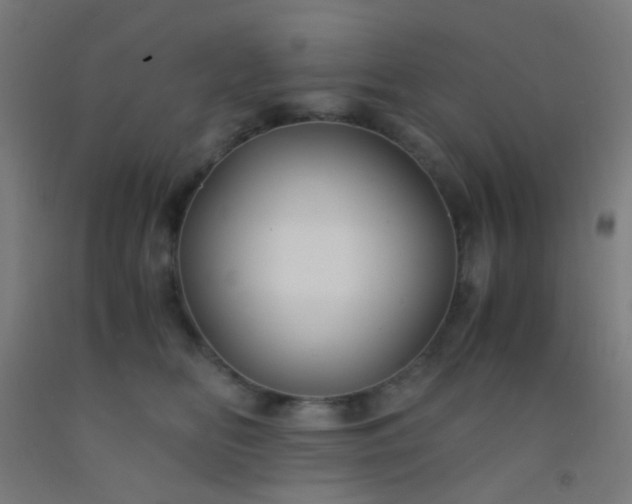 X0000092310518200709281349