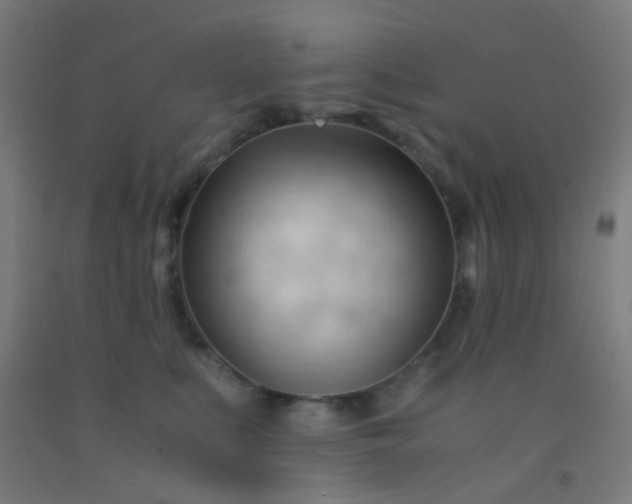 X0000092310519200709281349