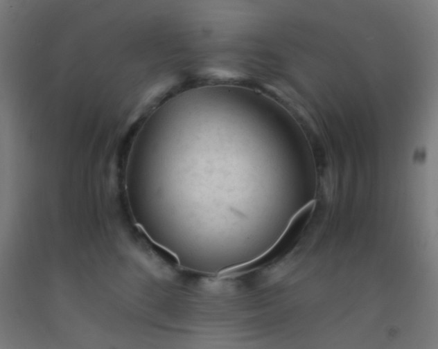 X0000092310520200709281349