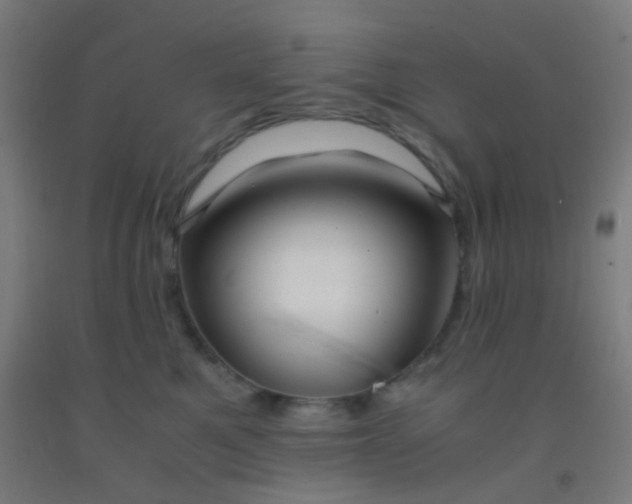 X0000092310521200709281349