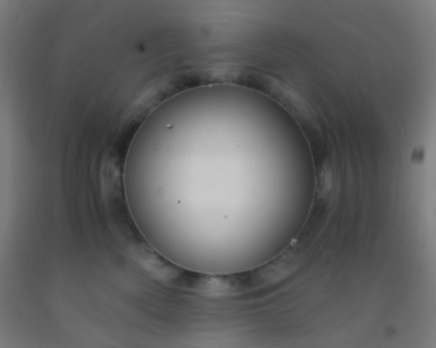 X0000092310522200709281349