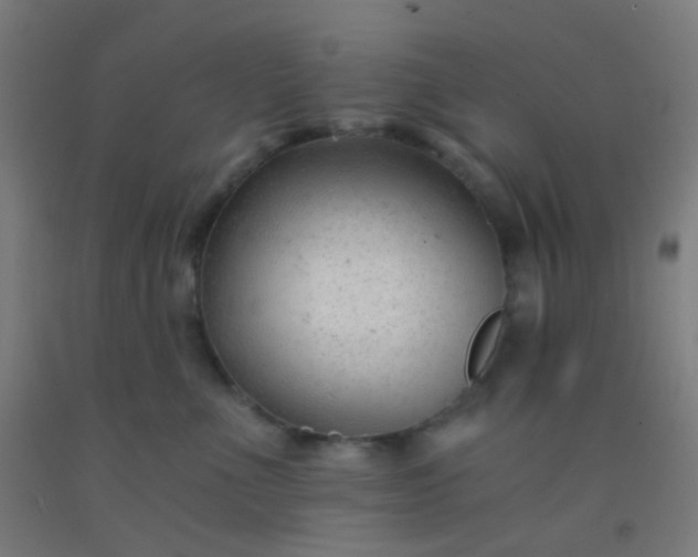 X0000092310523200709281349