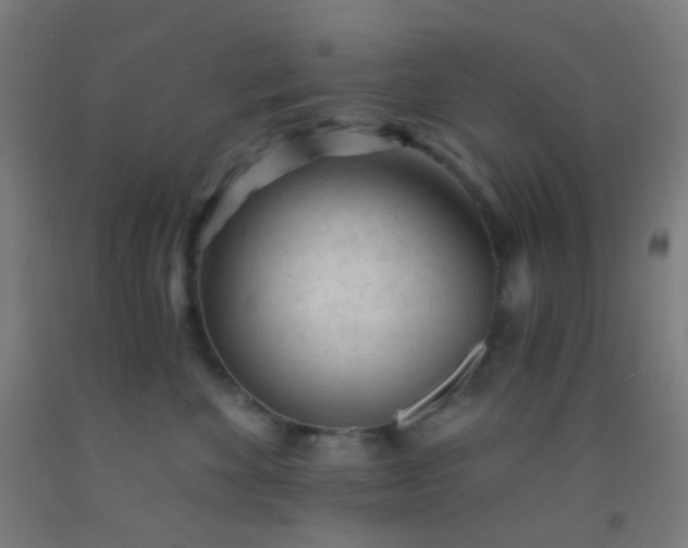 X0000092310524200709281349