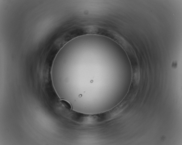 X0000092310525200709281348