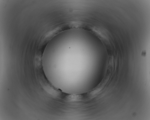 X0000092310526200709281348