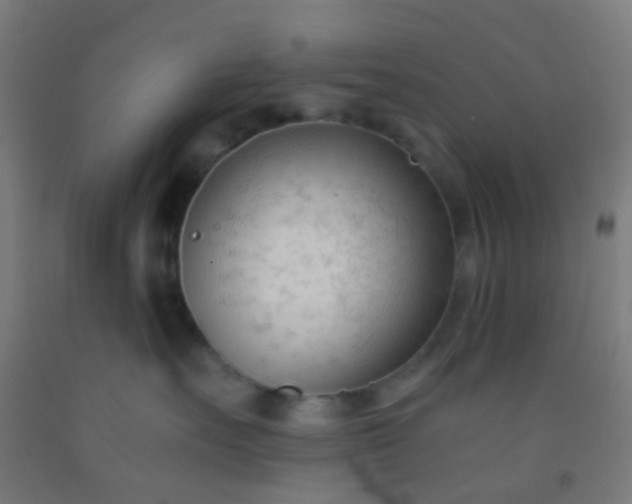 X0000092310527200709281348