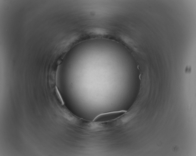 X0000092310528200709281348