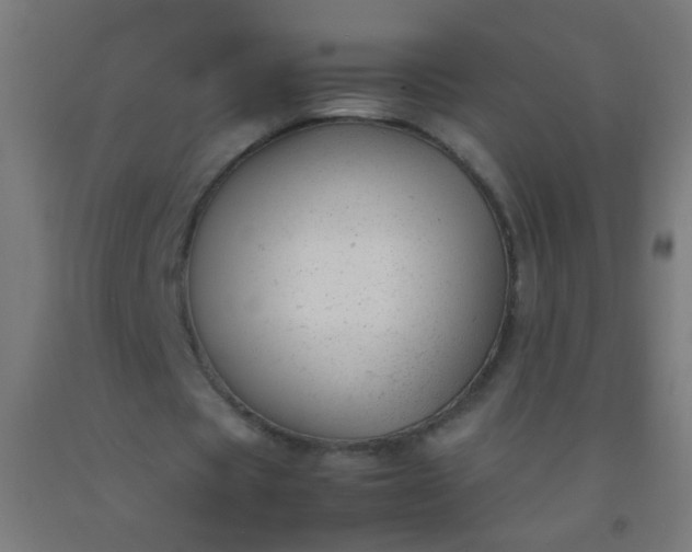 X0000092310529200709281348