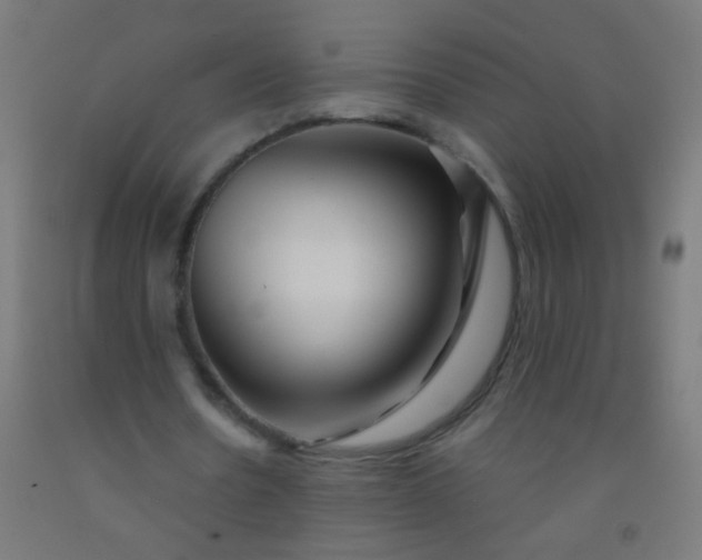 X0000092310530200709281348