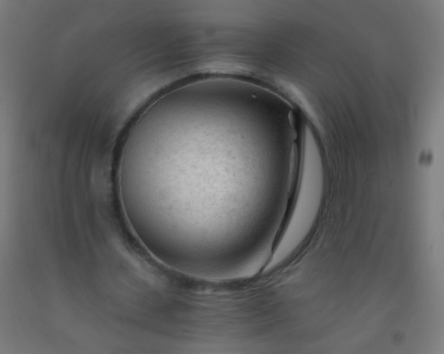 X0000092310531200709281348