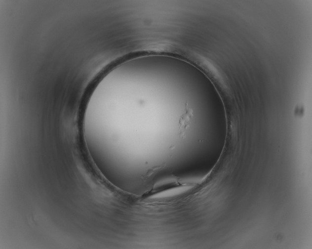 X0000092310532200709281348