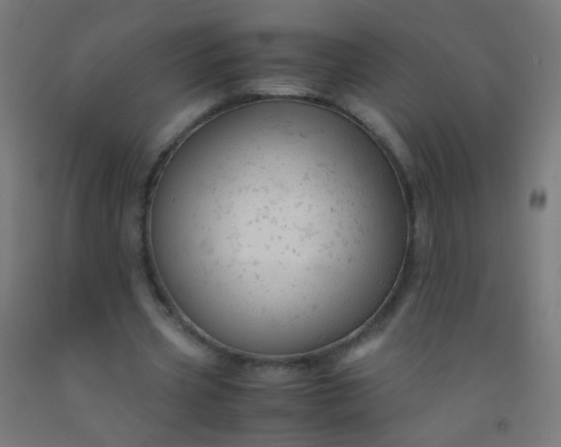 X0000092310533200709281348