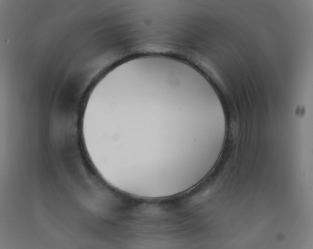 X0000092310534200709281348