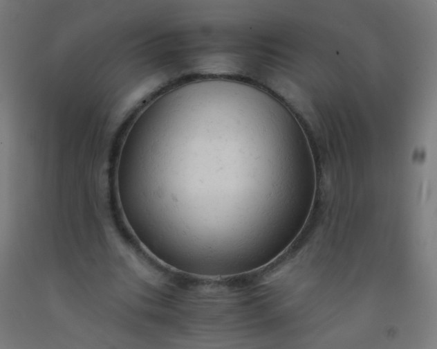 X0000092310535200709281348