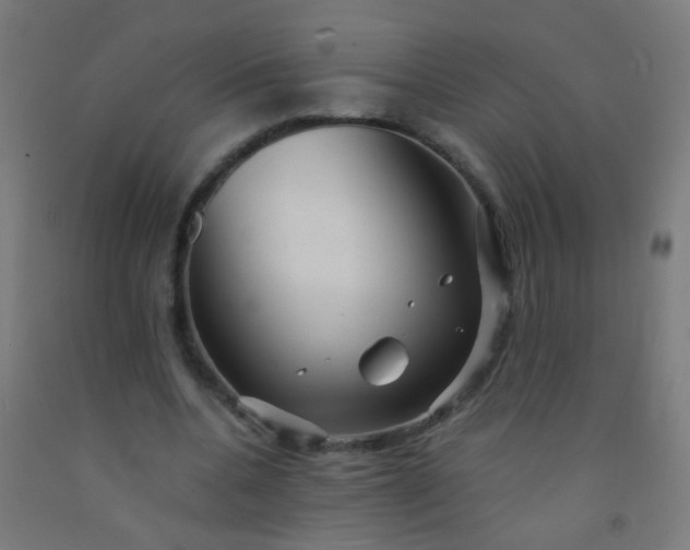 X0000092310536200709281348