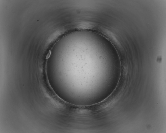 X0000092310539200709281348