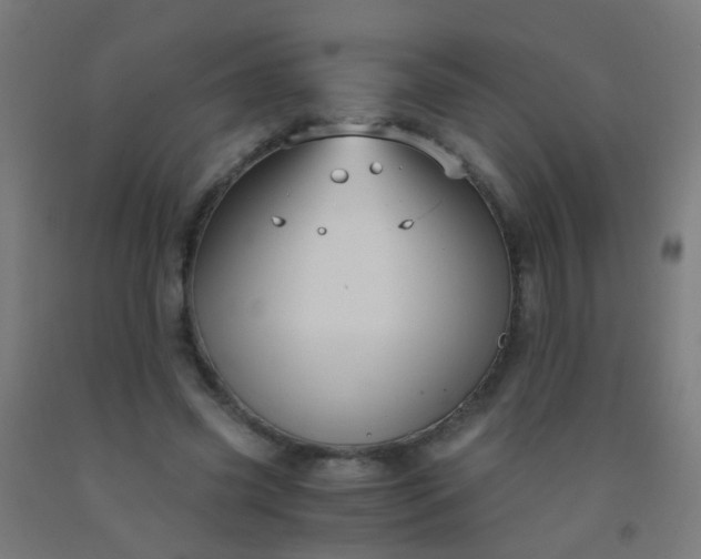 X0000092310541200709281348