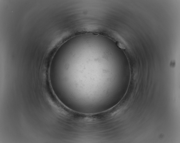 X0000092310542200709281348