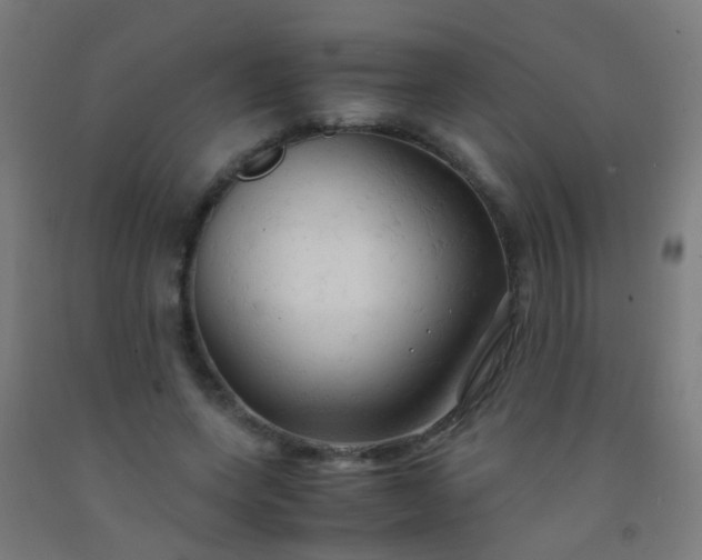 X0000092310543200709281348