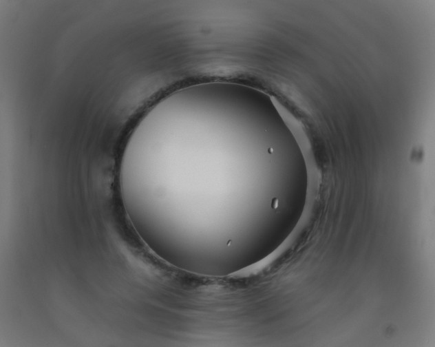X0000092310544200709281348