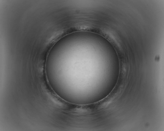 X0000092310545200709281348