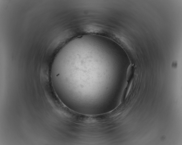 X0000092310547200709281348
