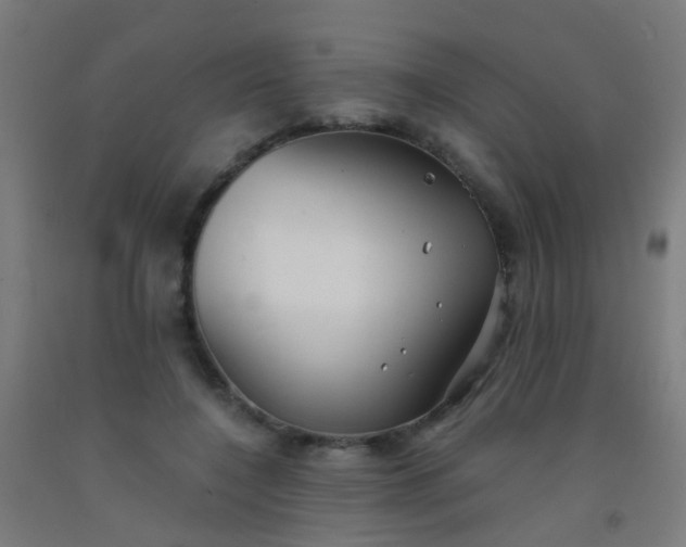 X0000092310548200709281348