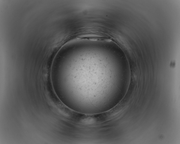 X0000092310551200709281348