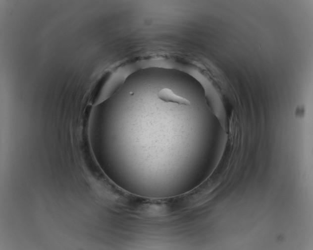 X0000092310552200709281348