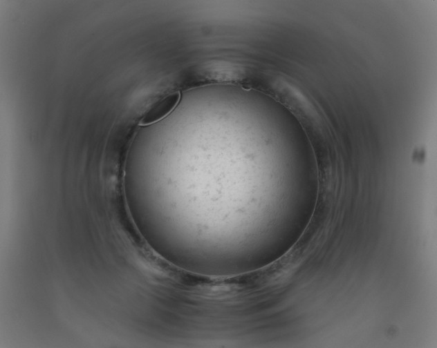 X0000092310553200709281348
