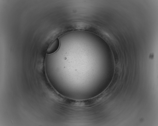 X0000092310554200709281348