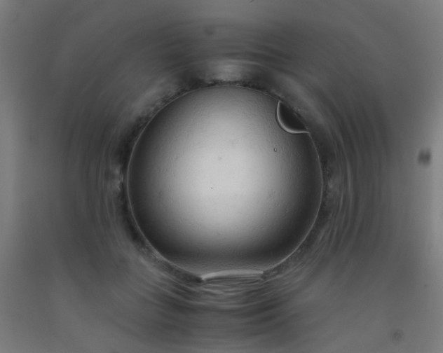 X0000092310555200709281348