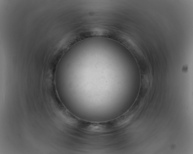 X0000092310557200709281348