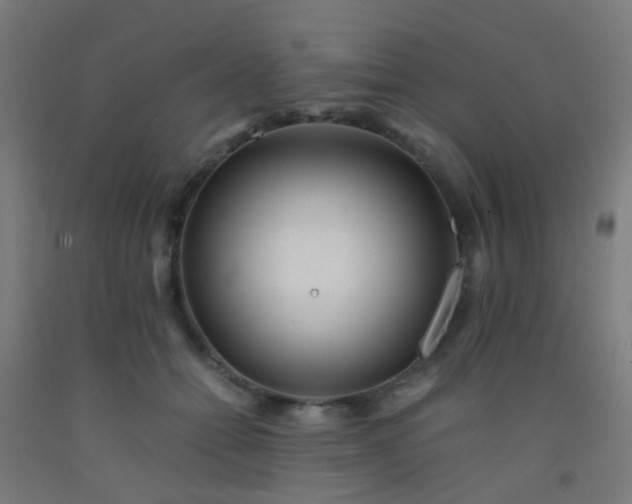 X0000092310558200709281348