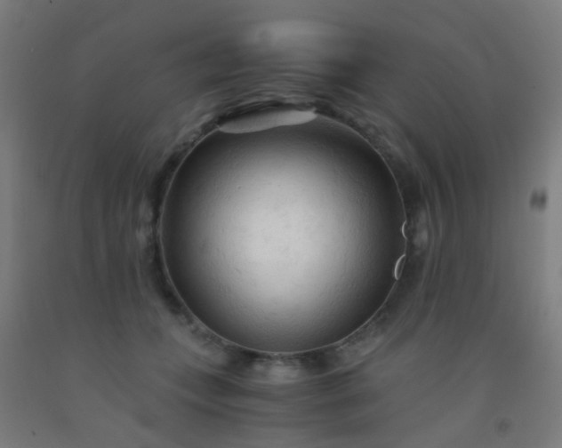 X0000092310559200709281348