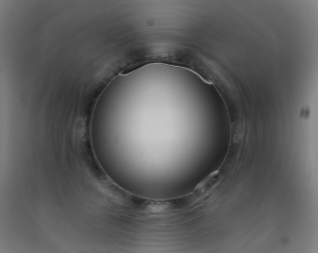 X0000092310560200709281348