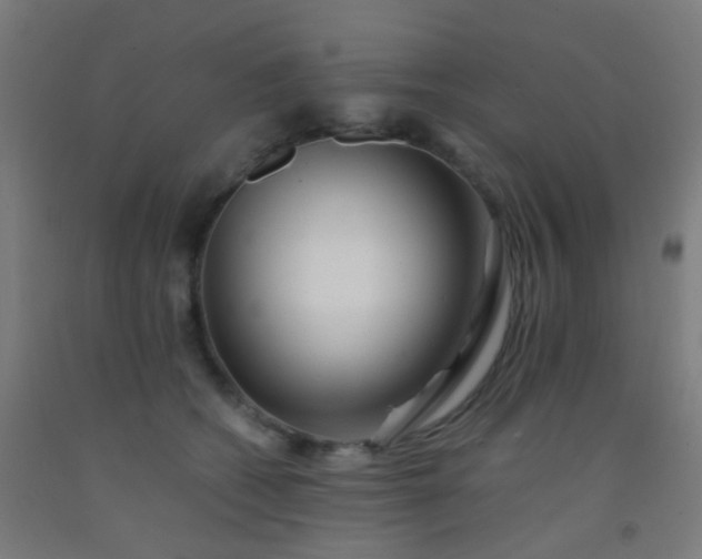 X0000092310562200709281348