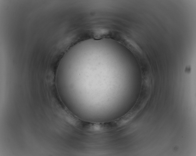 X0000092310565200709281348