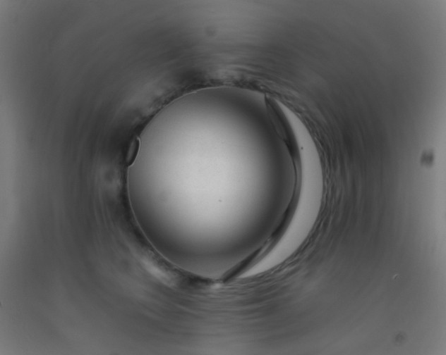 X0000092310566200709281348