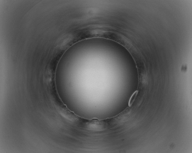 X0000092310567200709281348