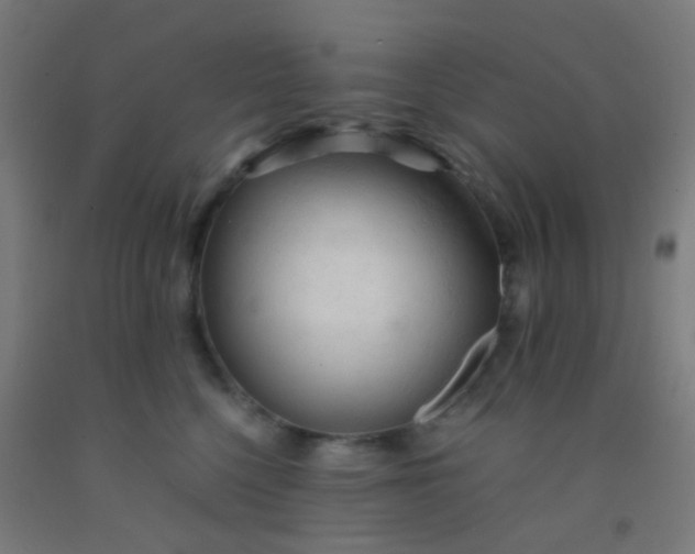 X0000092310568200709281348