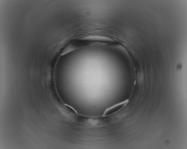 X0000092310570200709281348