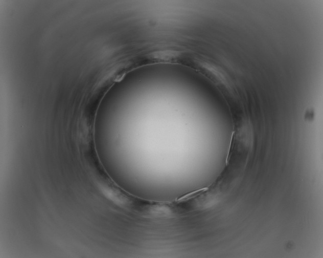 X0000092310572200709281348