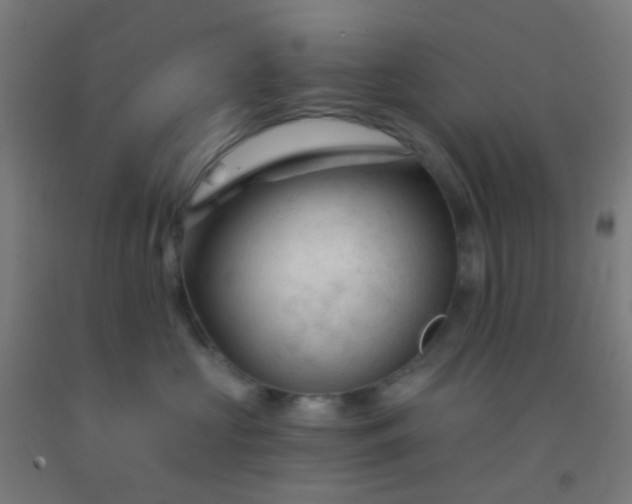 X0000092310573200709281348