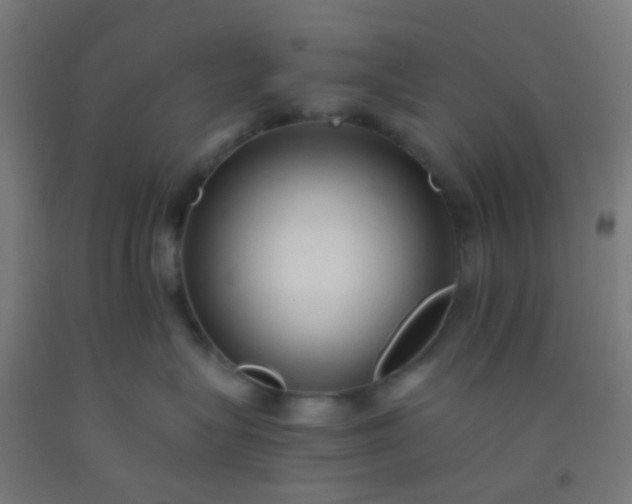 X0000092310575200709281348