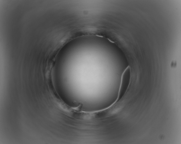 X0000092310576200709281348