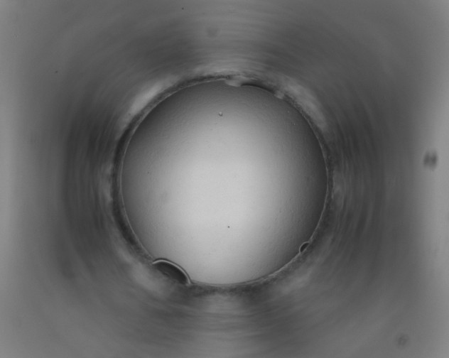 X0000092310578200709281348