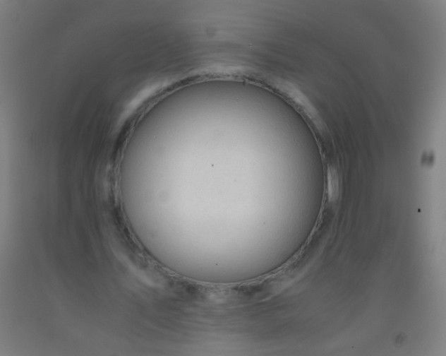 X0000092310579200709281348