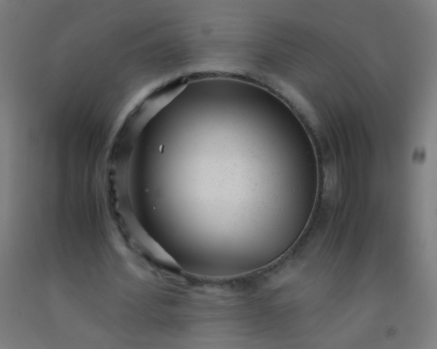 X0000092310580200709281348